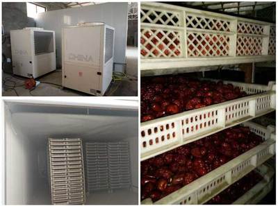 喜訊 正旭三款果蔬烘干機入選國家補貼目錄，最高補貼4萬元助力產業升級